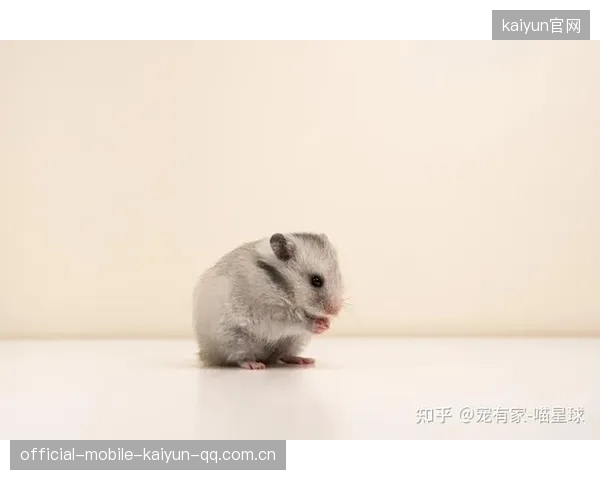 坎贝尔步伐灵巧如猫——轻盈每一步的魅力